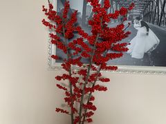 -双季花艺园艺市场(浦东店)