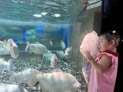 -成都浩海立方海洋公园