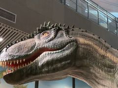 -湖南省地质博物馆