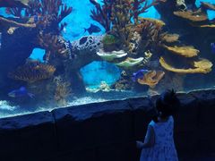 -多彩贵州城极地海洋世界