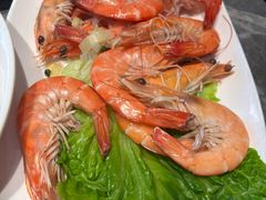 -1937青岛老味道·海肠捞饭·青岛菜(大鲍岛栈桥店)