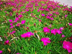 -野鸭湖国家湿地公园