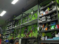 -道路口单车爱瓦士dahon大行