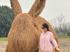 -嘉北郊野公园