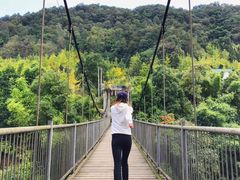 -凤栖山