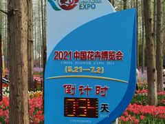 -东平国家森林公园