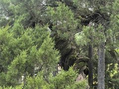 -东天目山风景区