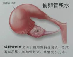 -邢台妇产医院