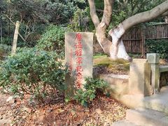 -雨花胜境