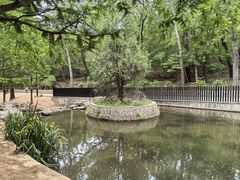 -白水寺森林公园