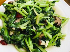 时令蔬菜-微山岛春天里酒家