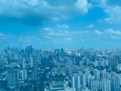 -上海龙之梦万丽酒店