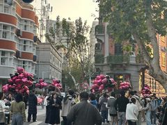 -巴公房子