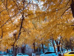 -辽宁大学(崇山校区)