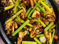 铁板鱿鱼须-粗粮人家·东北菜(洋桥店)