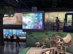 -国家自然博物馆