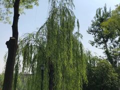 -莲湖公园