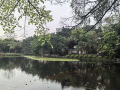 -荔湾湖公园