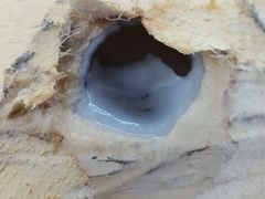 -范饭椰林川湘味海鲜·椰子鸡(三亚湾椰梦长廊店)