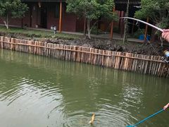 -上膳源有机农场