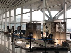 -张家界荷花国际机场航站楼-国内出发