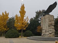 -北京鹫峰国家森林公园