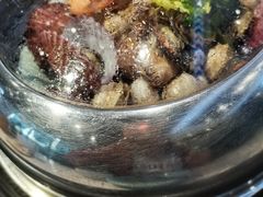 -蓝珊瑚蒸汽海鲜餐厅(龙奥店)