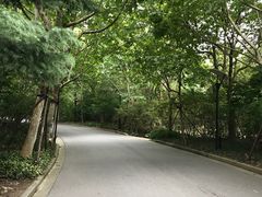 -吴淞炮台湾湿地森林公园烧烤区
