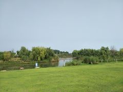 -合肥滨湖国家森林公园