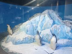 -吉林省自然博物馆