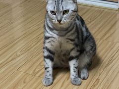 -贝利宠物医院·骨科·眼科·肿瘤转诊中心(南坪诊疗中心)
