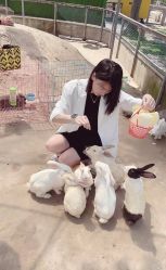 -前小桔亲子创意农场·草莓采摘·露营烧烤