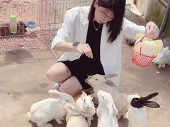 -前小桔亲子创意农场·草莓采摘·露营烧烤