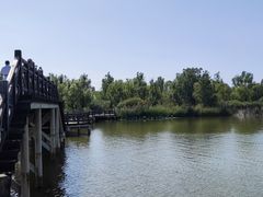 -野鸭湖国家湿地公园