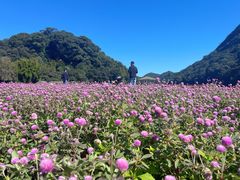-广州市石门国家森林公园