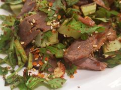 -曾牛肉