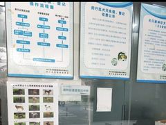 -艾吉宠物医院·疑难杂症转诊中心·猫友好(碧江路院)