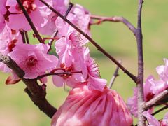 -王興記(中山路店)