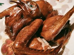 -大鸽饭(汉溪长隆店)