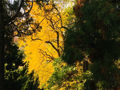 -青岛崂山太清宫