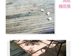 -zarah(鼓楼店)