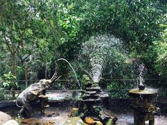 景点-莫里热带雨林景区
