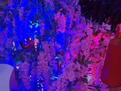 -巴特餐饮6加1音乐餐吧·新疆菜