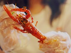 -猫姑娘大盘鸡(商城路店)