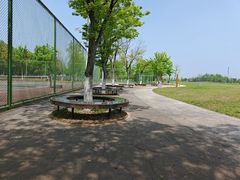 -滆湖低碳生态公园