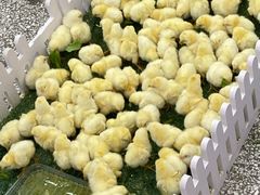 -沃尔玛超市(武侯店)