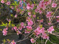 -森林公园(尖草坪区)