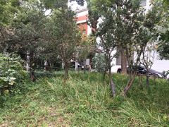 -沪东工人文化宫