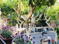 -玫瑰厅上海菜(兴国路店)