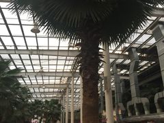 -龙达温泉生态城